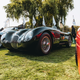 Illustration for article titled Immerse Yourself In Photos Of All The Most Beautiful Classic Cars You Can Imagine